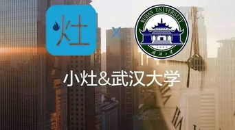 小灶 x26amp 武漢大學(xué) 四大和互聯(lián)網(wǎng)企業(yè),你會(huì)選哪個(gè)