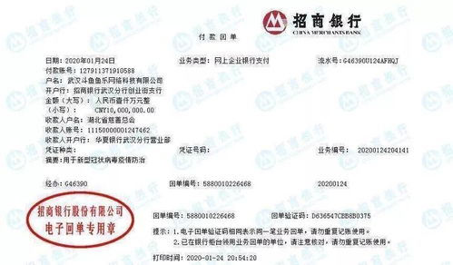 解放軍 醫(yī)療工作隊(duì) 央企互聯(lián)網(wǎng)企業(yè) 武漢,我們來(lái)了