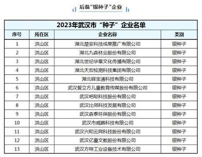 武漢"金種子""銀種子"名單公布 洪山25家企業(yè)入選
