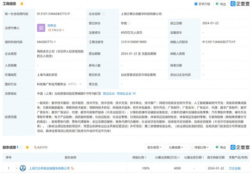 萬達在上海成立數字科技公司 含互聯網銷售業務