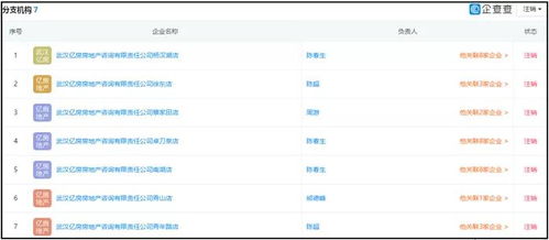 湖北消金合作方為客戶擔(dān)保引發(fā)關(guān)注，法院判決書揭示最高收取2%服務(wù)費(fèi)